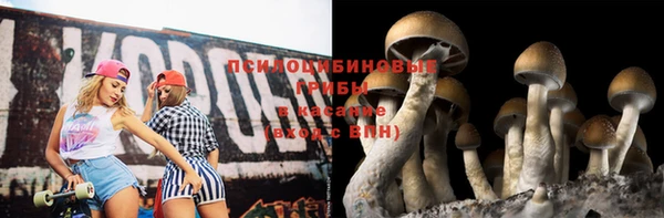 a pvp Дмитровск