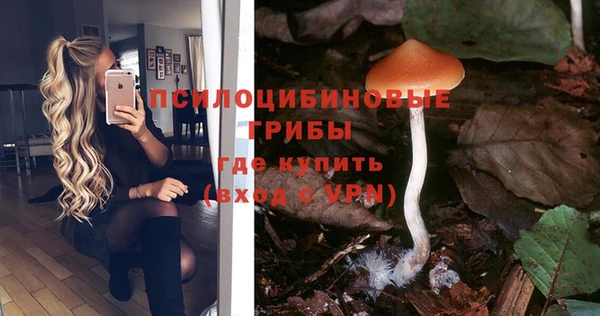 MDMA Premium VHQ Дмитриев